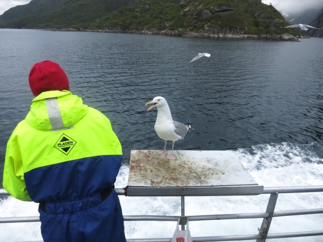 Hurtigruten_2015-06-25_16-59